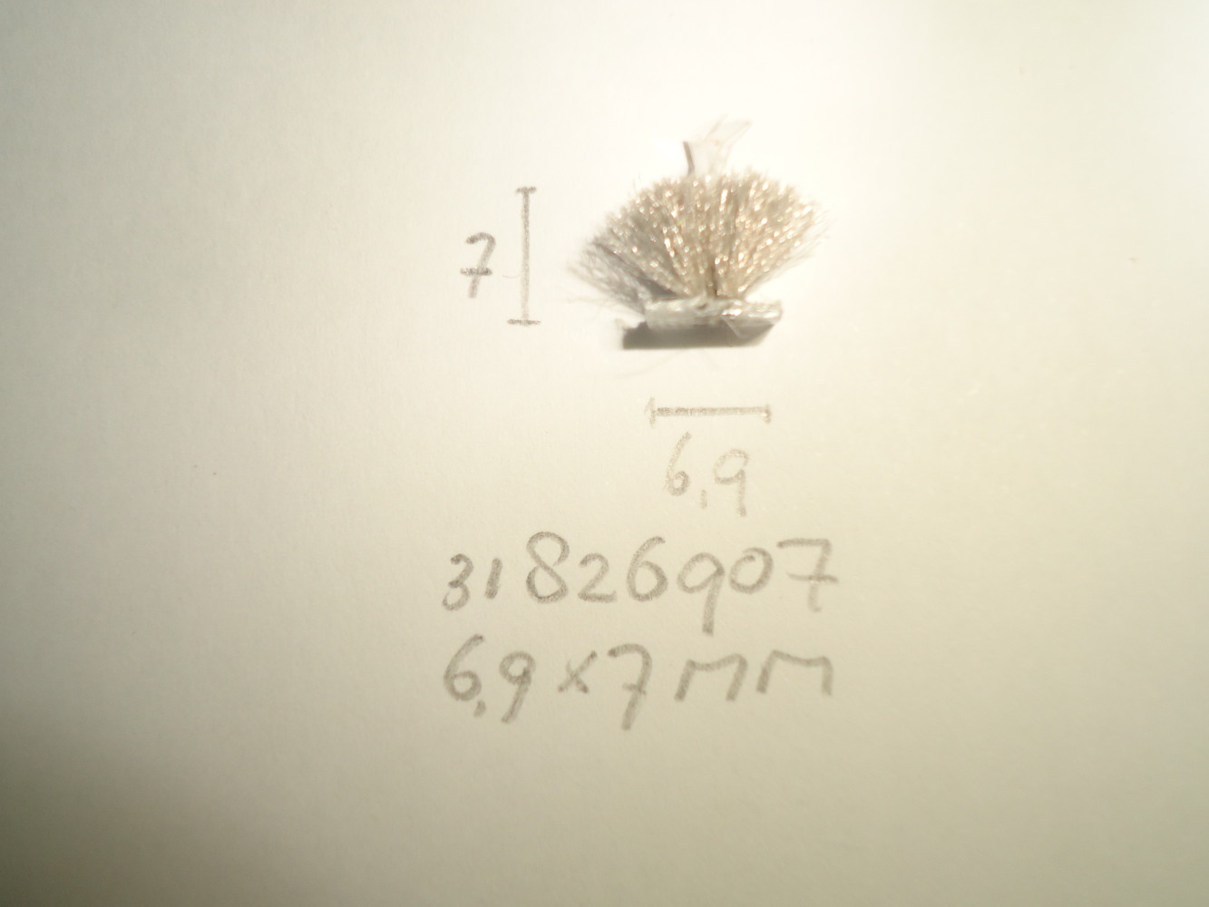 Borsteldichting 6,9x7mm - Dsc04779 - 31826907