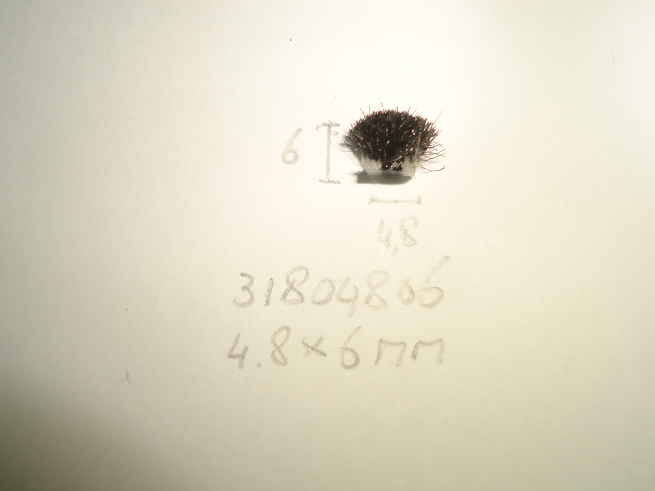 Borsteldichting 4,8x6mm - Dsc04780 - 31804806