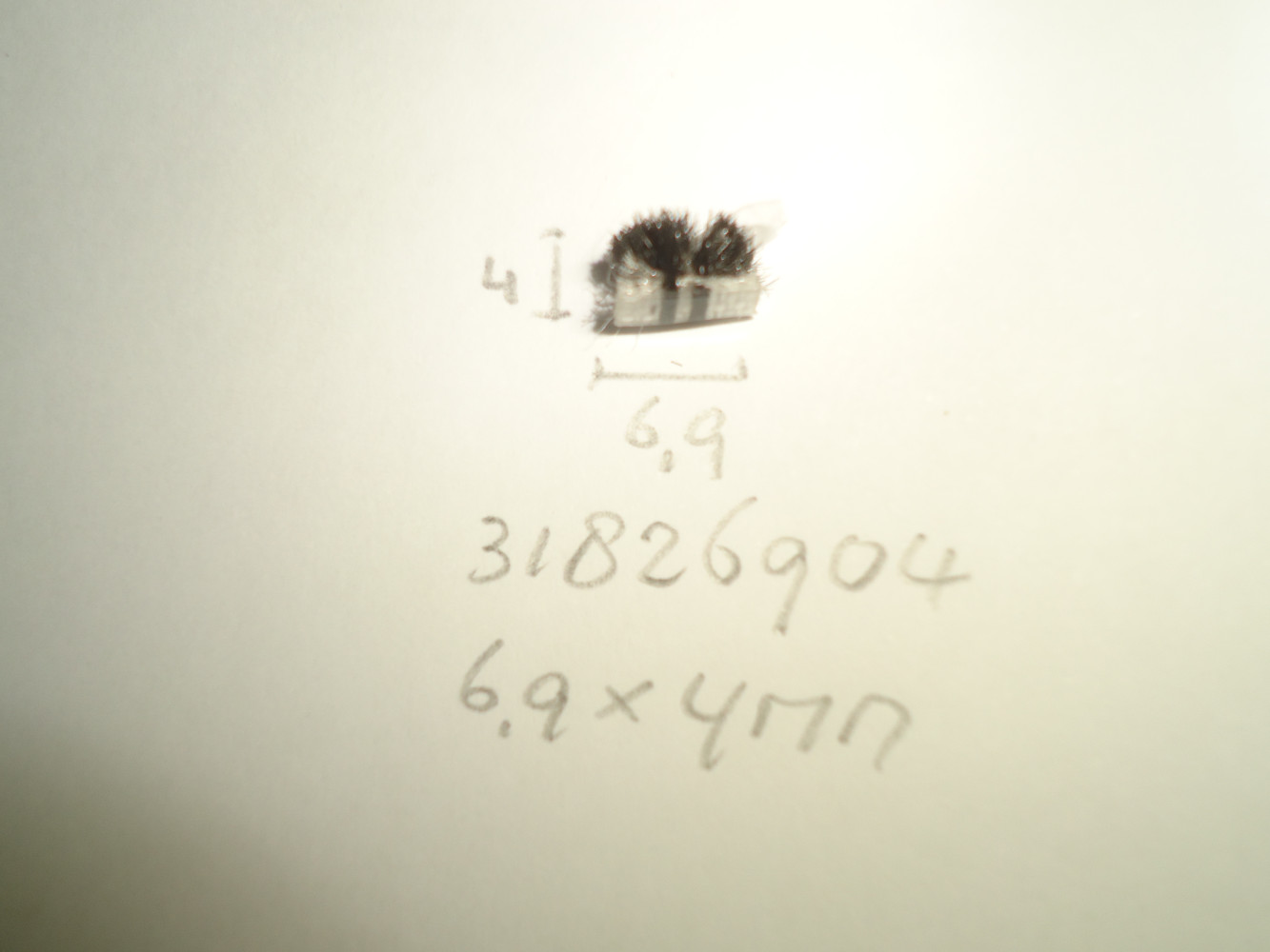 Borsteldichting 6,9x4mm - Dsc04792 - 31826904