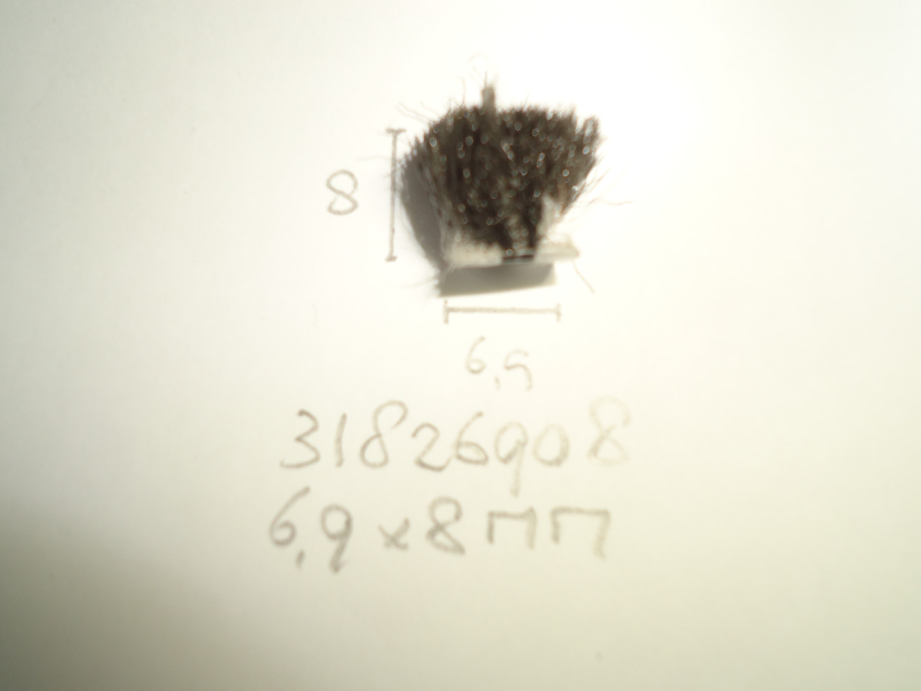 Borsteldichting 6.9x8mm - Dsc04823 - 31826908