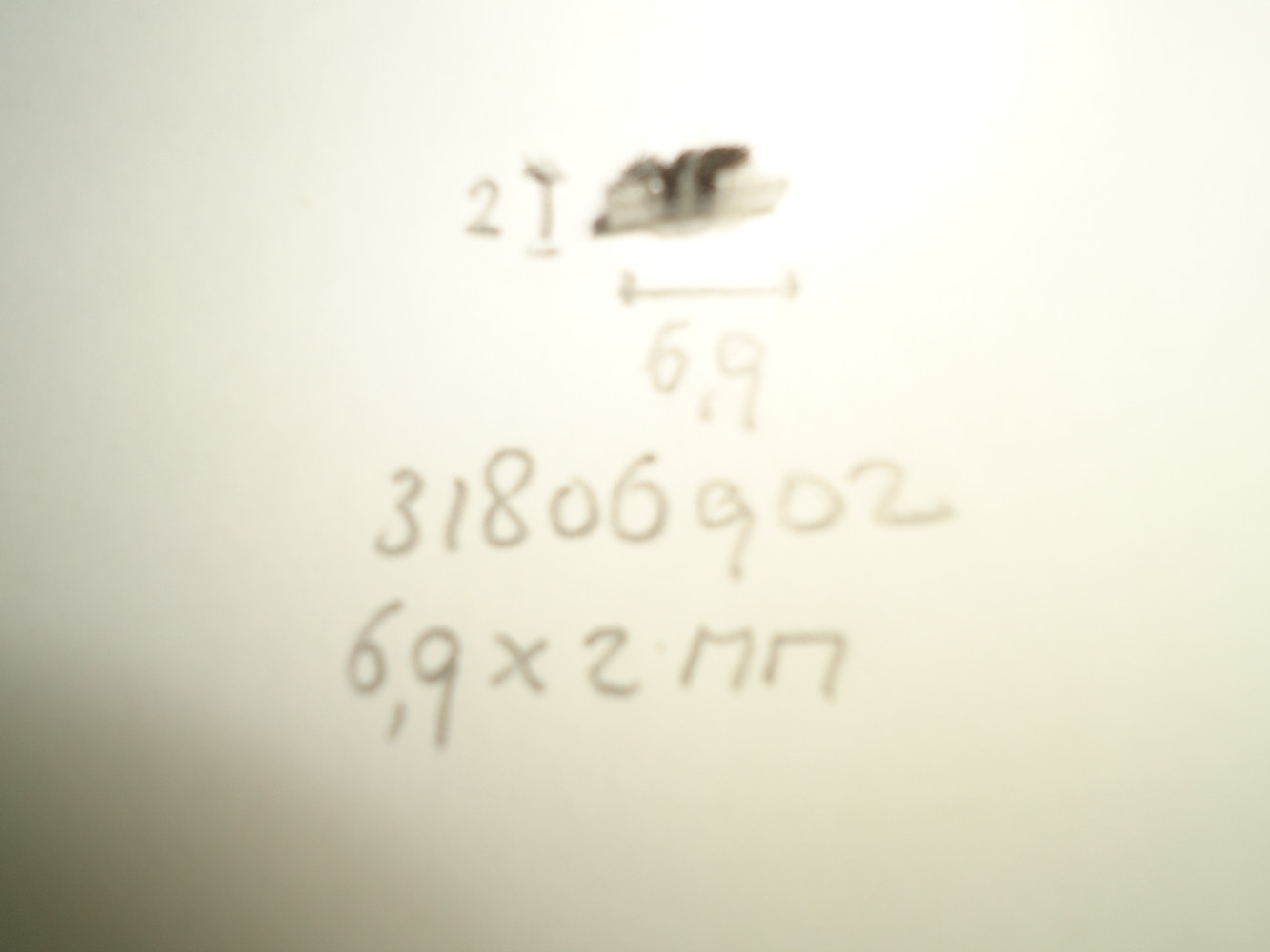 Borsteldichting 6.9x2mm - Dsc04835 - 31806902