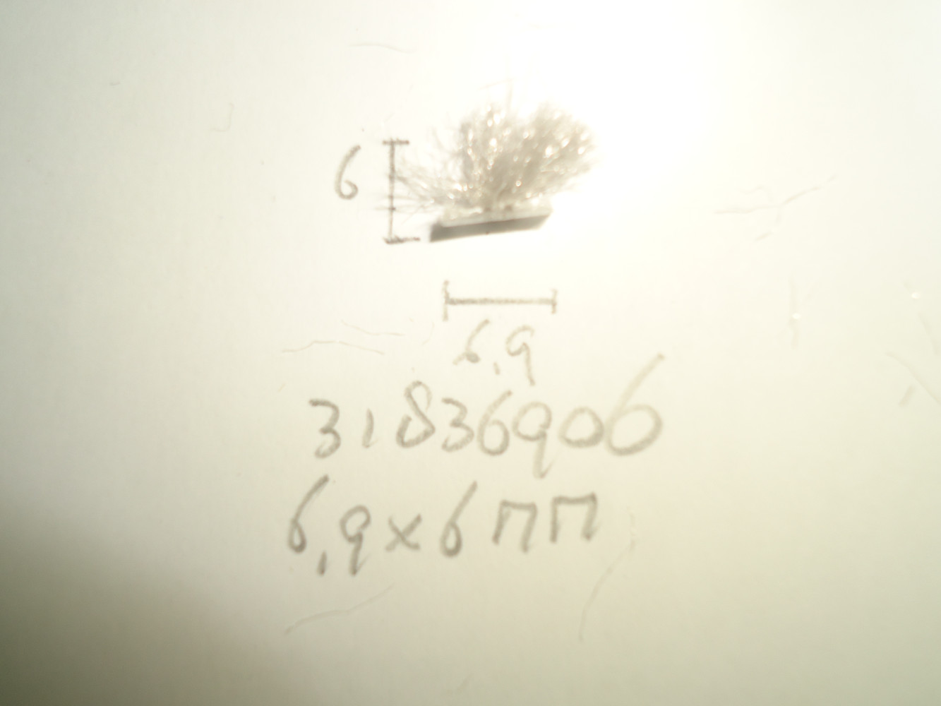 Borsteldichting 6.9x6mm - Dsc04836 - 31836906