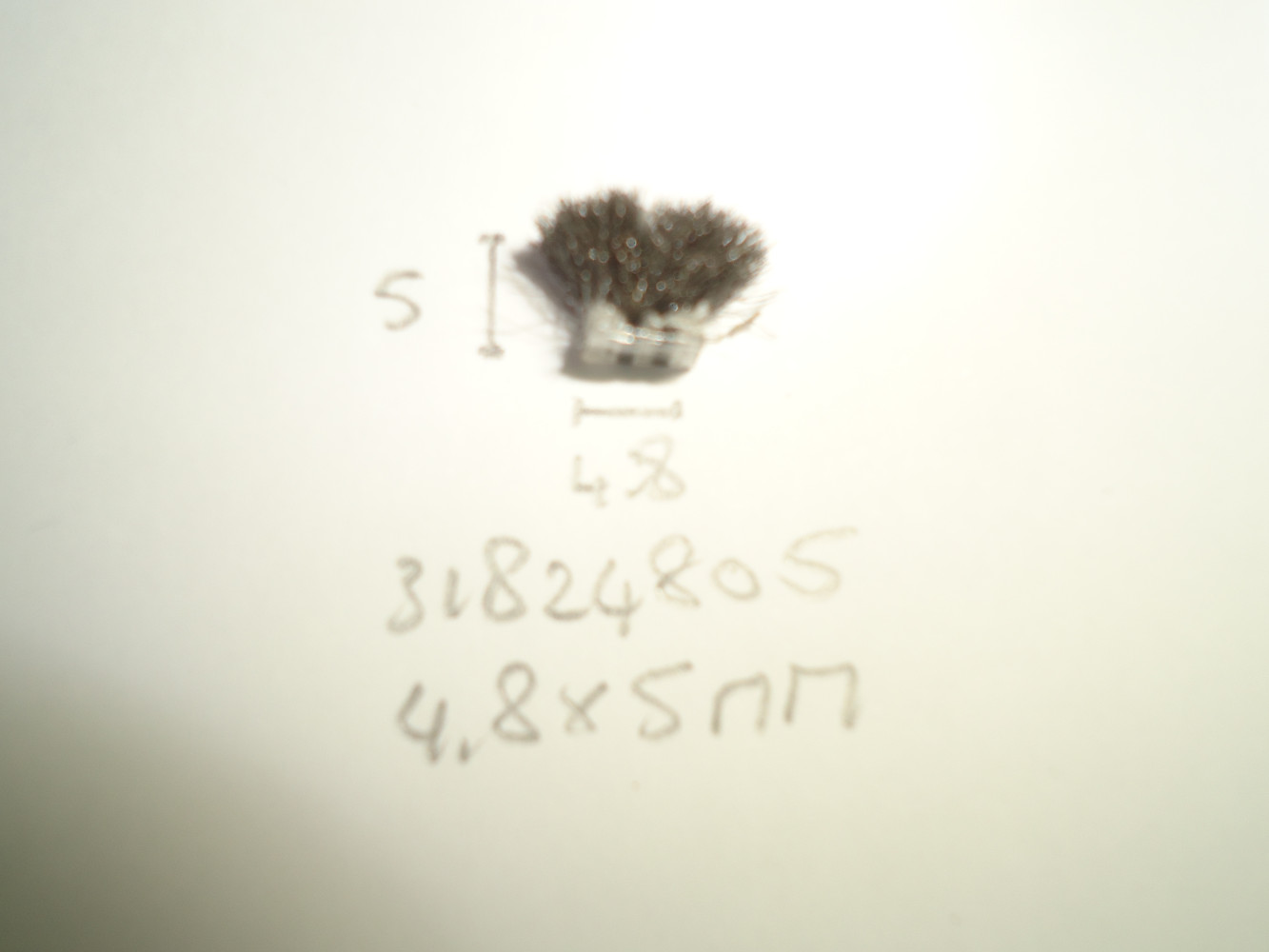 Borsteldichting 4,8x5mm - Dsc04842 - 31824805