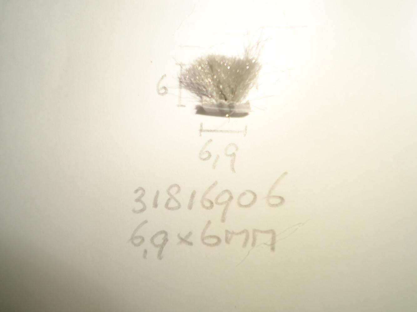 Borsteldichting 6.9x6mm - Dsc04845 - 31816906