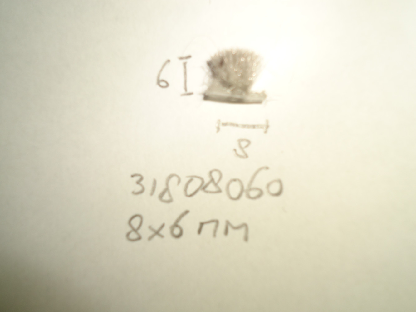 Borsteldichting 8x6mm - Dsc05357 - 31808060