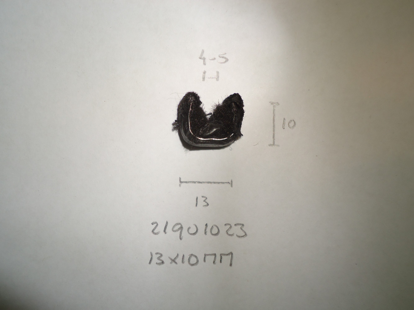 Raamloop 13x10mm - Dsc06886 - 21901023